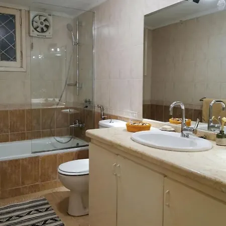 Luxury On The Nile - Zamalek Apartments Cairo Exterior photo